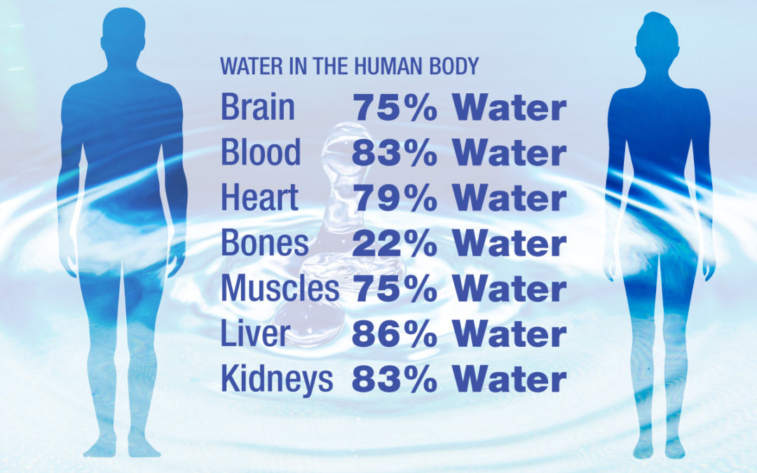 How does water affect the human body?